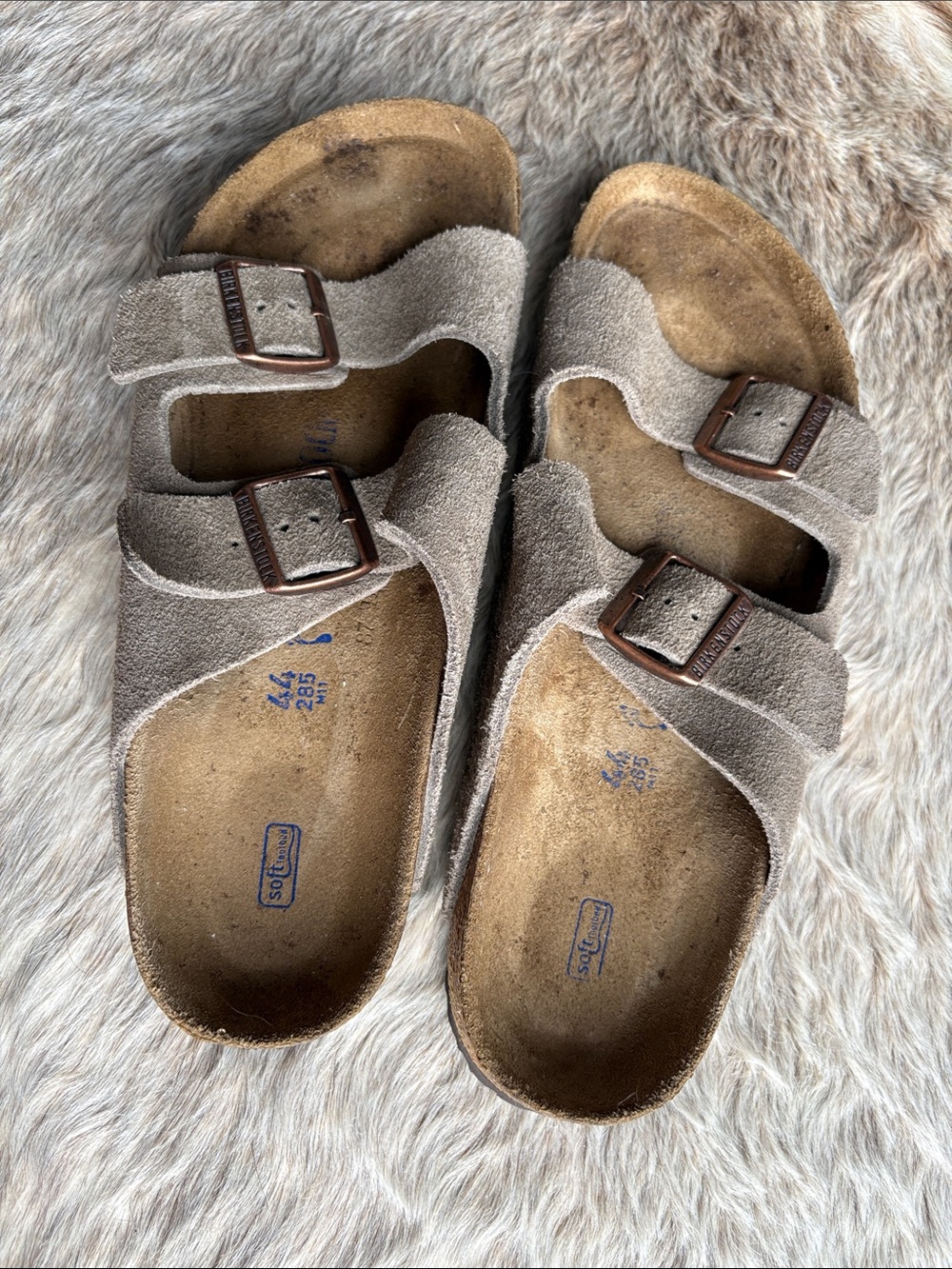 Birkenstock Arizona Softbed Suede in Taupe size 44 - Picture 5 of 7
